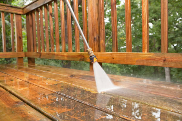 Best Fence Cleaning  in Glen Ellyn, IL
